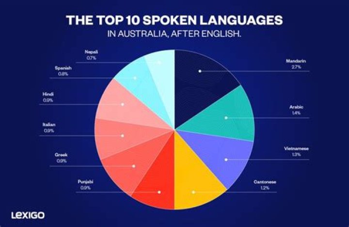 What language do they speak in Slumdog Millionaire?