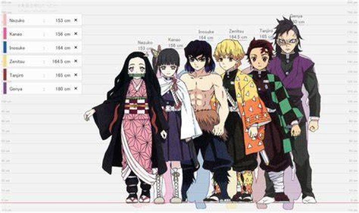 What level Demon Slayer is Tanjiro?