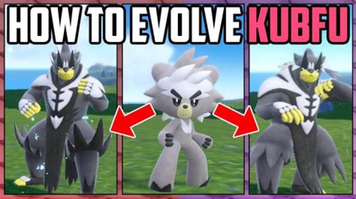 What level should I evolve Kubfu?