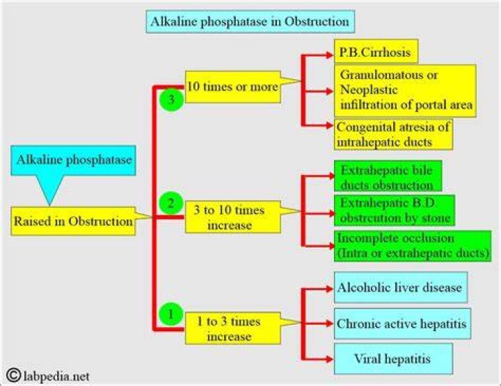 What medications can cause elevated alkaline phosphatase?