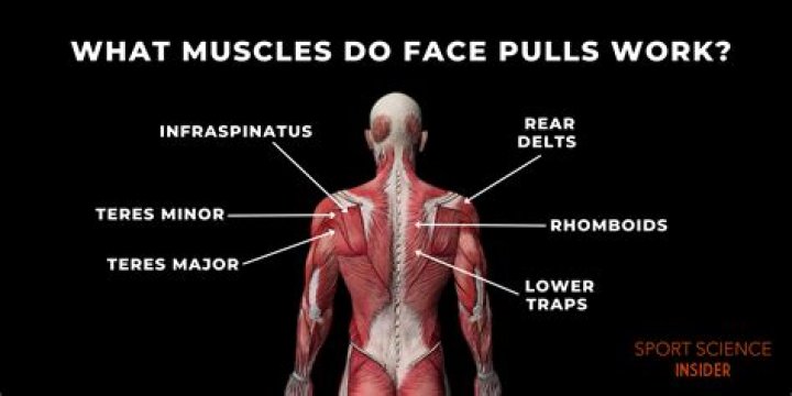What muscles do backpacks work?