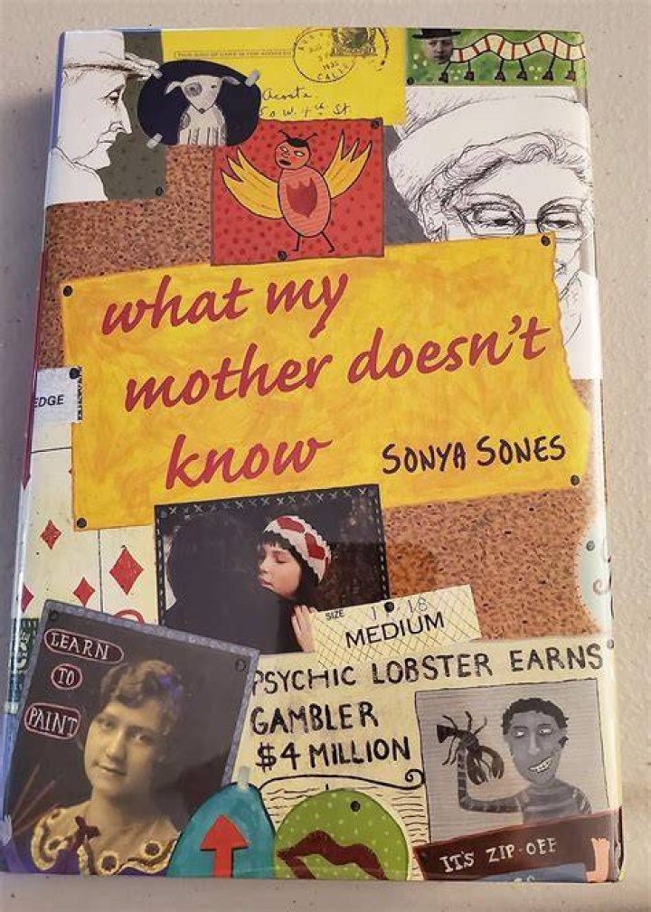 What My Mother Doesn t Know short summary?