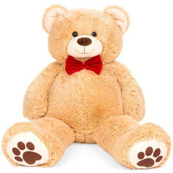What name is given to a stuffed toy bear?