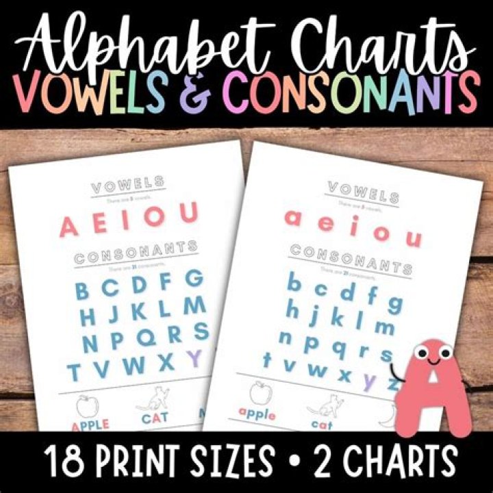 What number word has two vowels and two consonants?