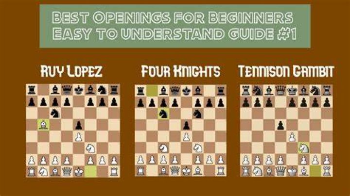 What openings should I learn as a beginner?