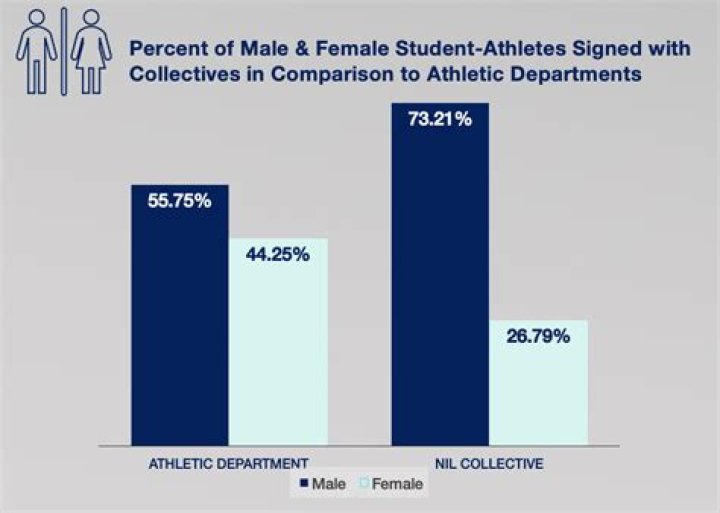 What percentage of professional athletes are female?