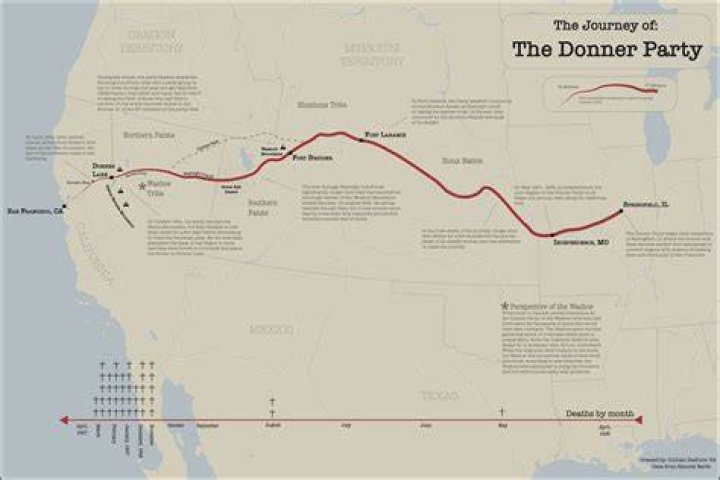 What percentage of travelers on the Donner Party made it to their final destination?
