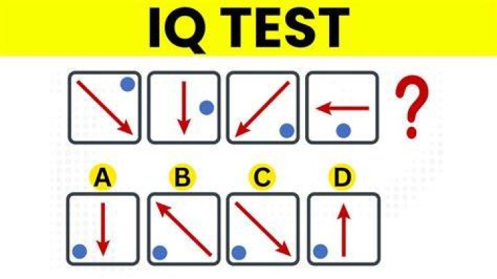 What questions are asked on an IQ test?