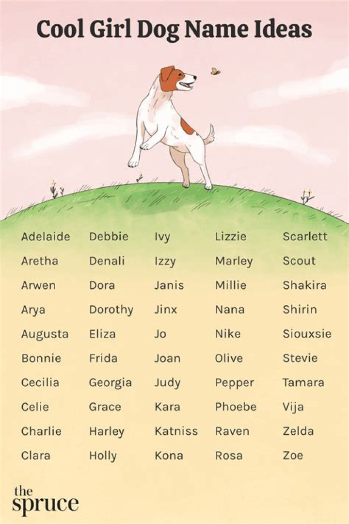 What should I name my white pet?