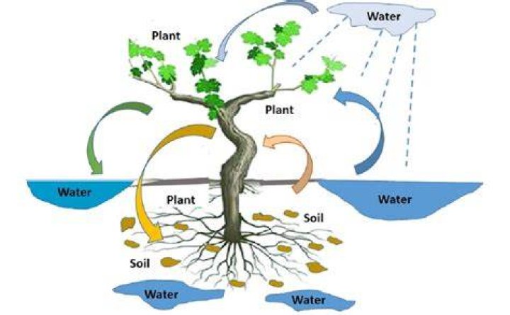 What soil is best for water filtration?