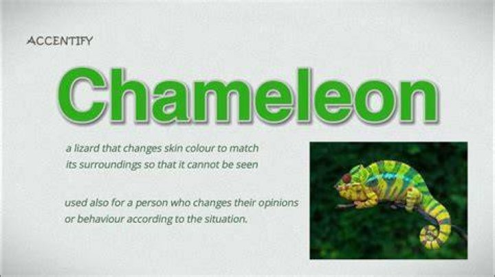 What the word chameleon means?