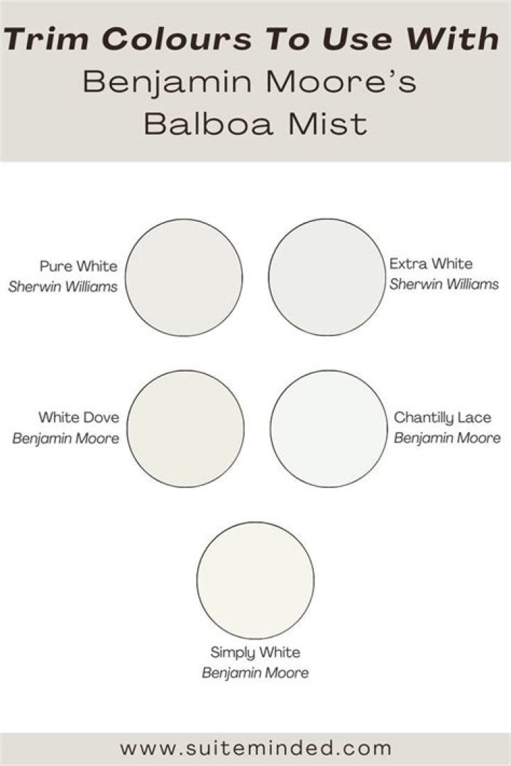 What trim goes with Balboa mist?