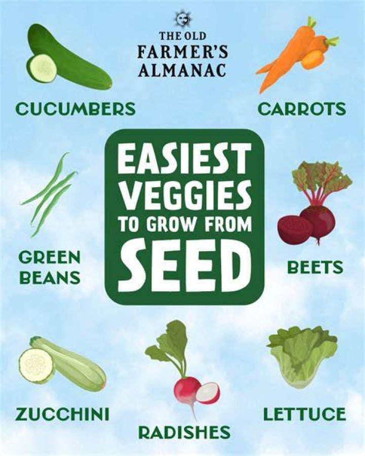 What vegetable is easiest to grow?