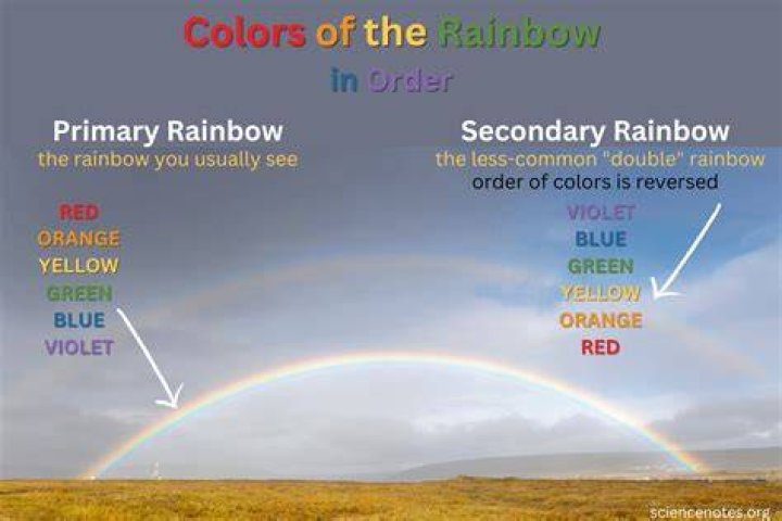 What was the Colours of the bear?