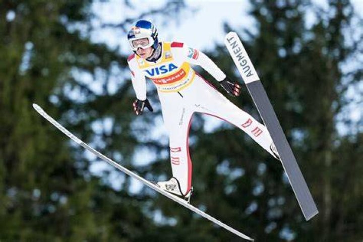 What Winter Olympic category does ski jumping fall under?
