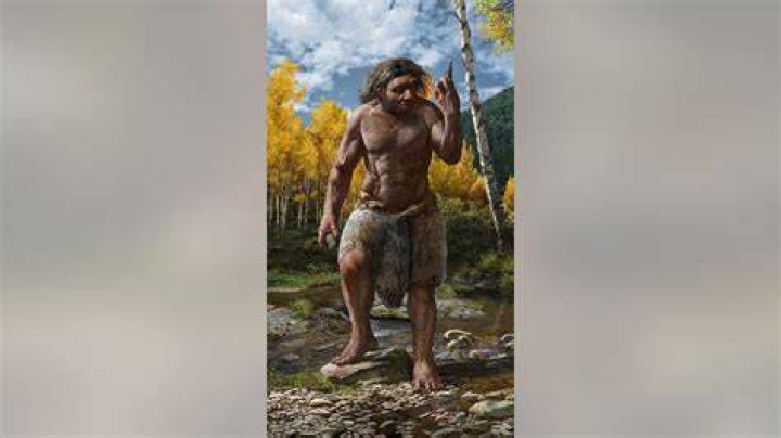 What would the dragon man look like?