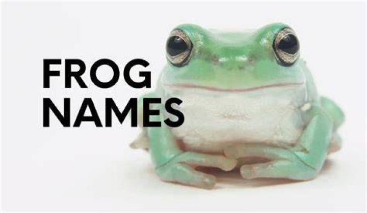 Whats a good name for a pet frog?