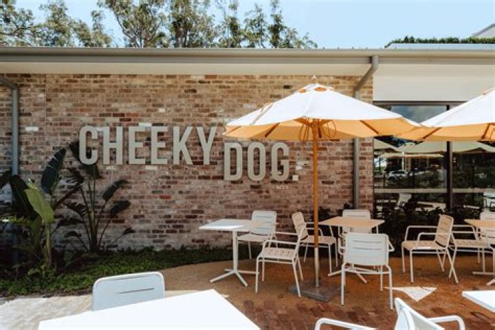 When did the Cheeky Dog sports bar open?