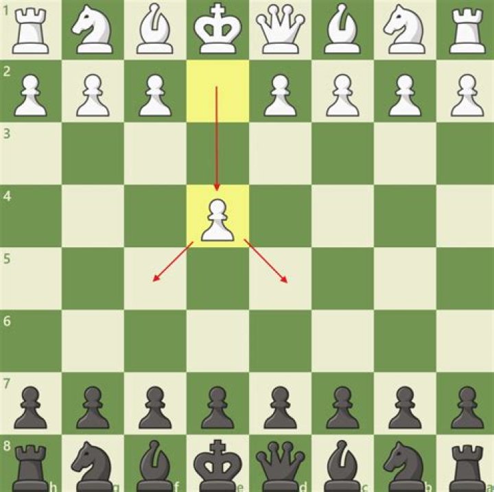 When it is my turn and I touch a piece or pawn must I move it why?