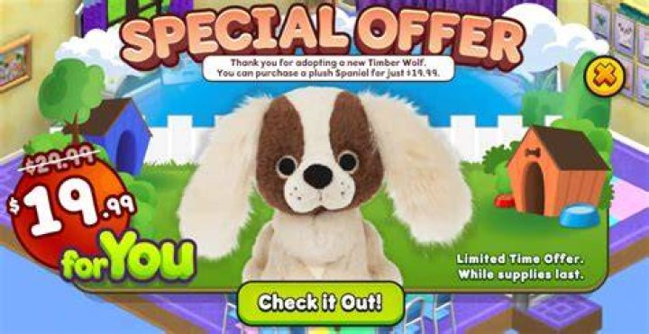 Where can you buy furniture in Webkinz World?