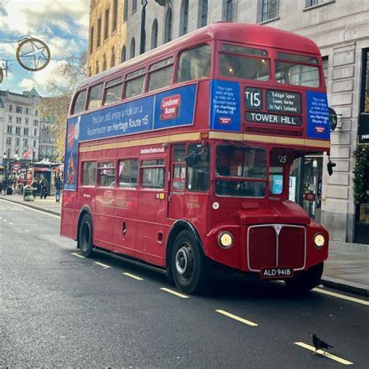 Where did the buses come from?