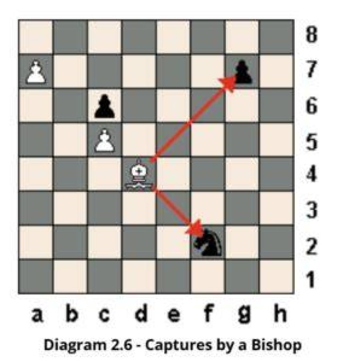 Where do bishops go in chess?