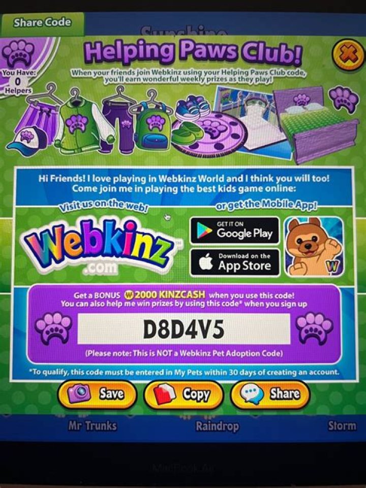 Where do I enter my Webkinz Code?