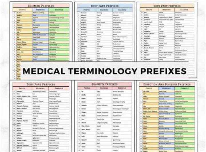 Where do medical prefixes and suffixes go together?