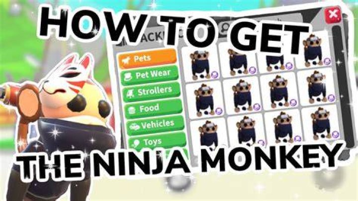 Where do you get a ninja monkey in adopt me?