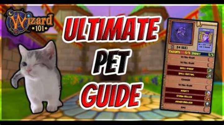Where do you get gnomes in Wizard101?
