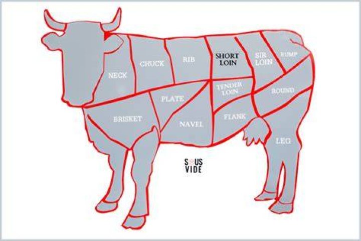 Where does the T-bone come from on the cow?