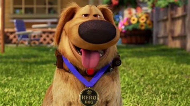 Where is Doug the dog from?