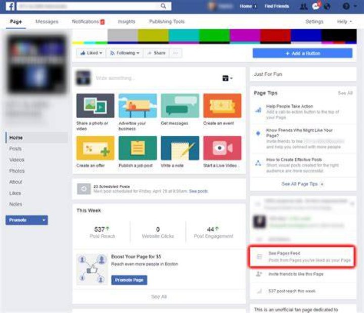 Where is my Facebook business page news feed 2021?