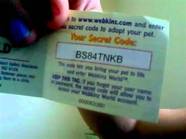 Where is the Webkinz Code?