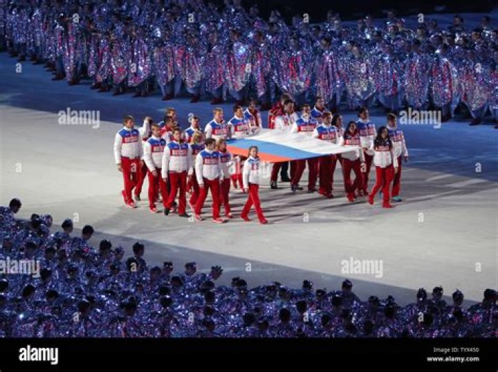 Where was the 2014 Winter Olympic Games held?