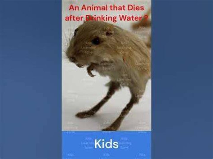 Which animal died after drinking water?