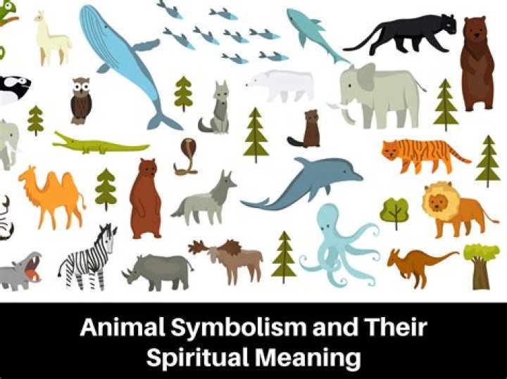 Which animal is usually religious?