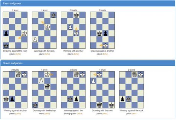 Which chess endgames are winnable?