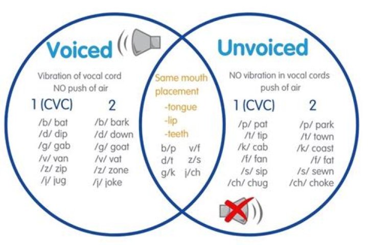 Which consonants are voiced and unvoiced?