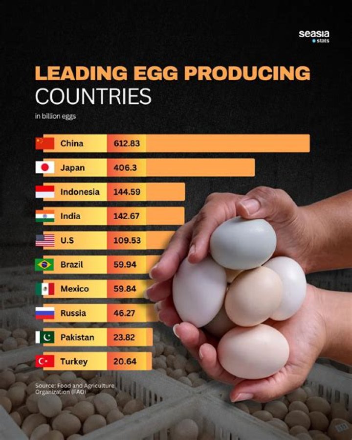Which countries wash eggs?