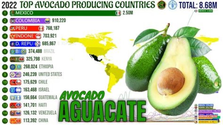 Which country has best avocado?