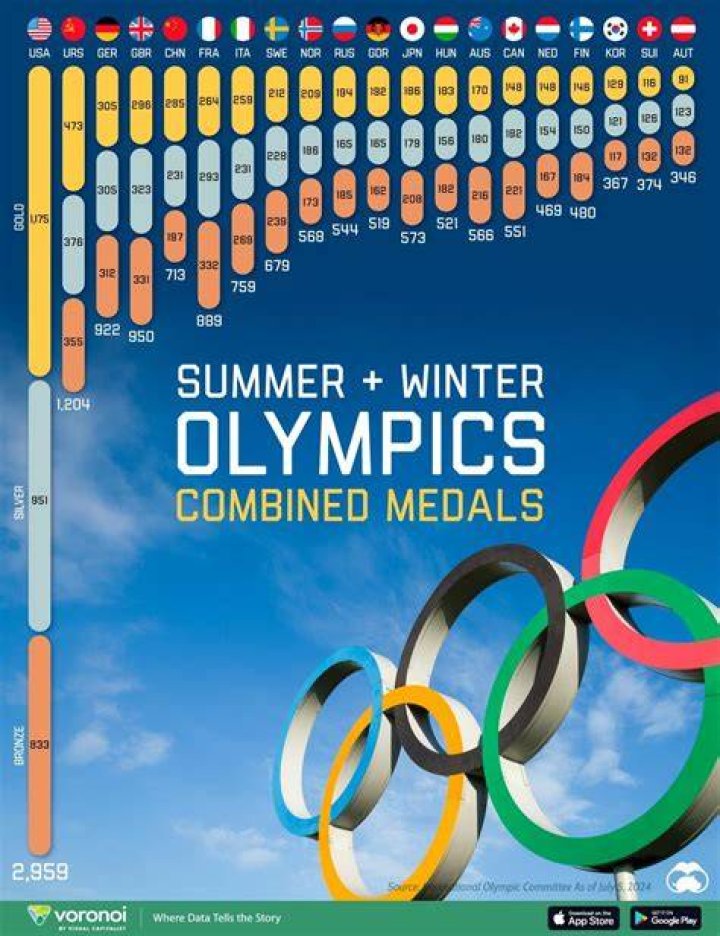 Which country won the most number of medals in the Sochi 2014 Winter Olympics?