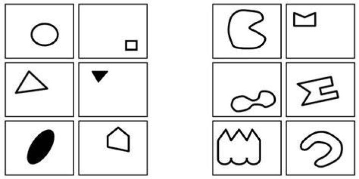 Which is an example of the Bongard problem?