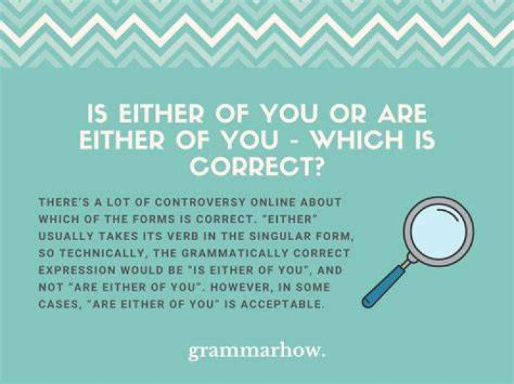 Which is correct Does either of you or do either of you?