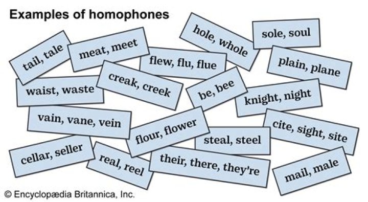 Which is the best definition of a homophone Riddle?