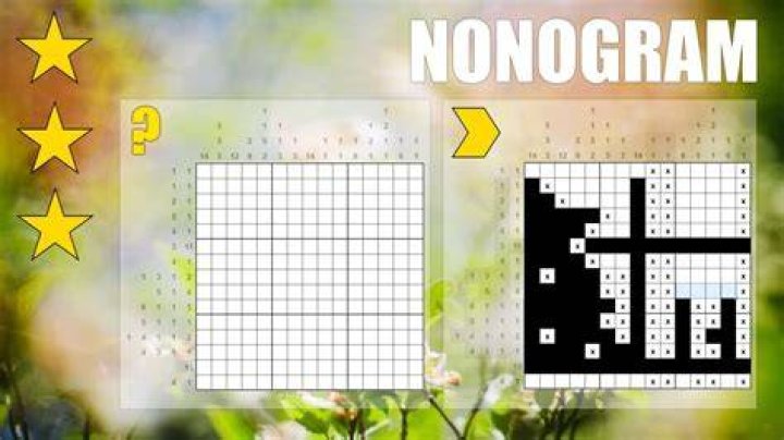 Which is the best description of a nonogram?