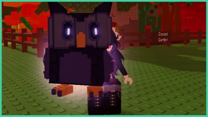 Which is the best pet for Ice Wizards?