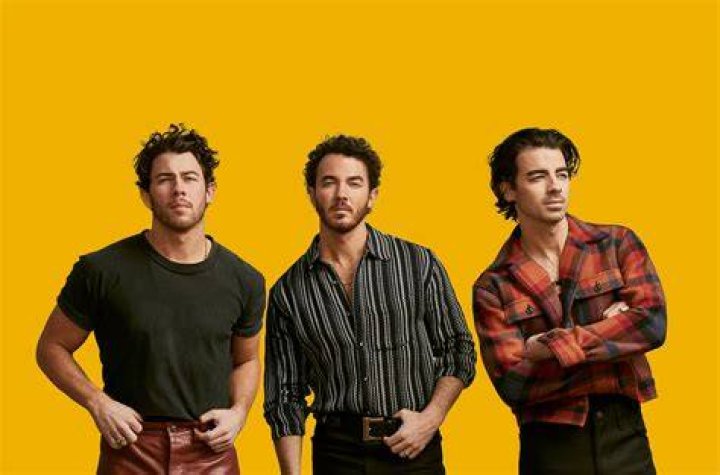 Which Jonas Brother is richer?