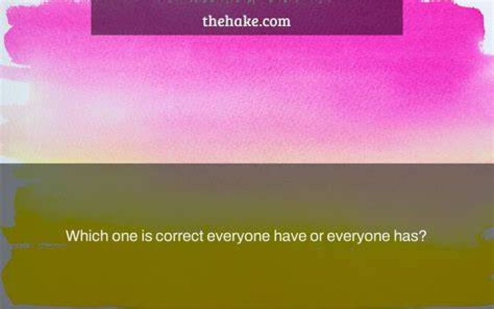 Which one is correct everyone have or everyone has?