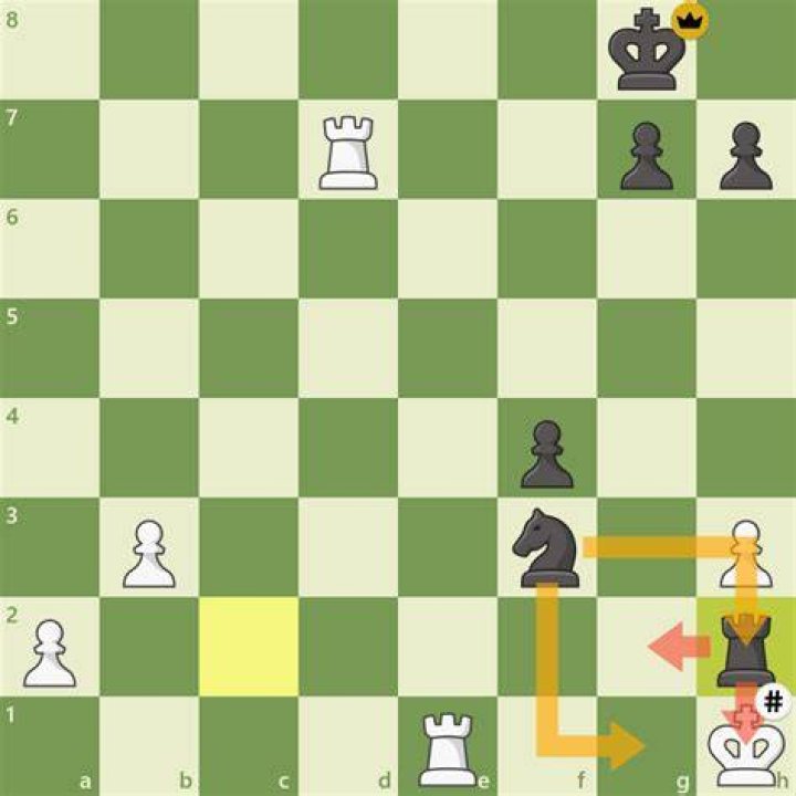 Which piece Cannot deliver checkmate?